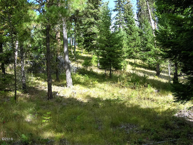 Nhn Graves Creek Loop, Thompson Falls, MT 59873