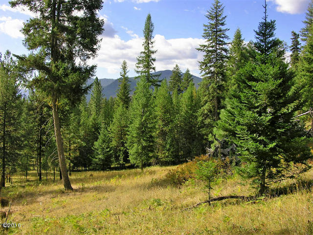 Nhn Graves Creek Loop, Thompson Falls, MT 59873