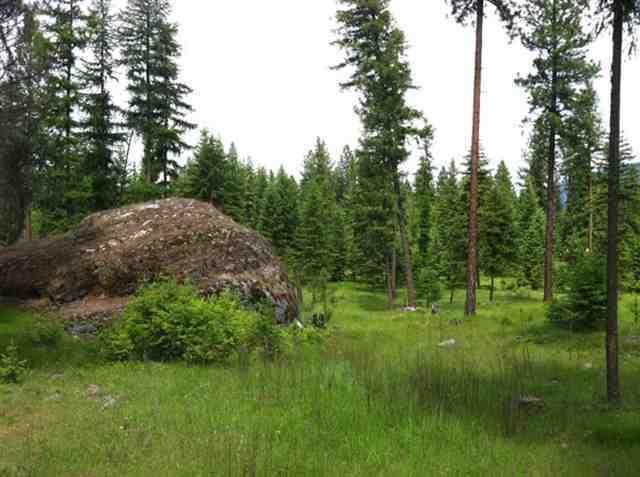 Nhn Cherry Creek Road, Thompson Falls, MT 59873