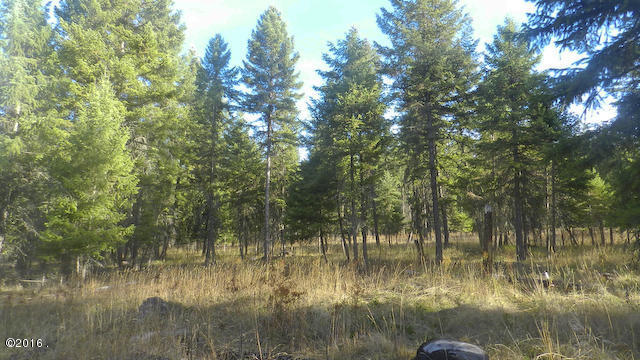 Lot 17 Big Fir Drive, Thompson Falls, MT 59873