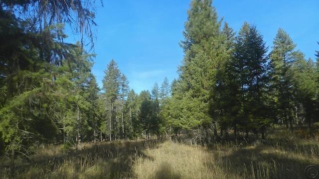 Lot 18 Big Fir Drive, Thompson Falls, MT 59873