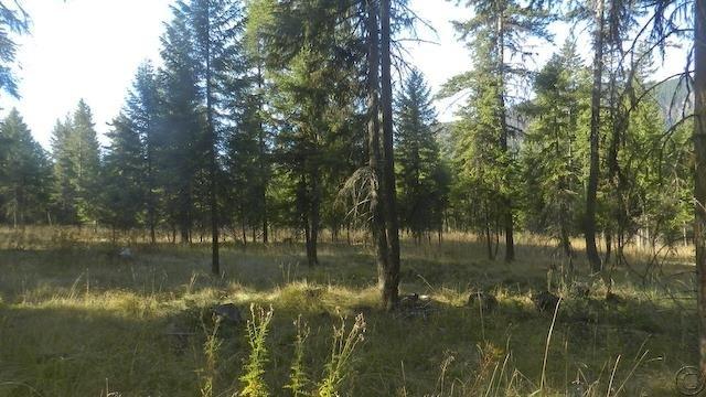 Lot 18 Big Fir Drive, Thompson Falls, MT 59873