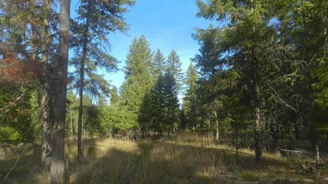 Lot 18 Big Fir Drive, Thompson Falls, MT 59873