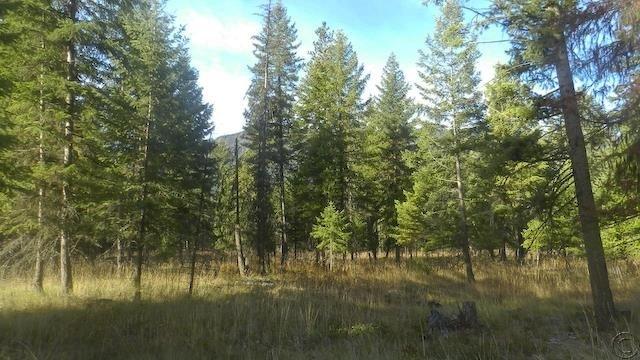 Lot 18 Big Fir Drive, Thompson Falls, MT 59873