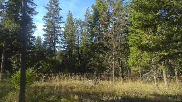 Lot 18 Big Fir Drive, Thompson Falls, MT 59873