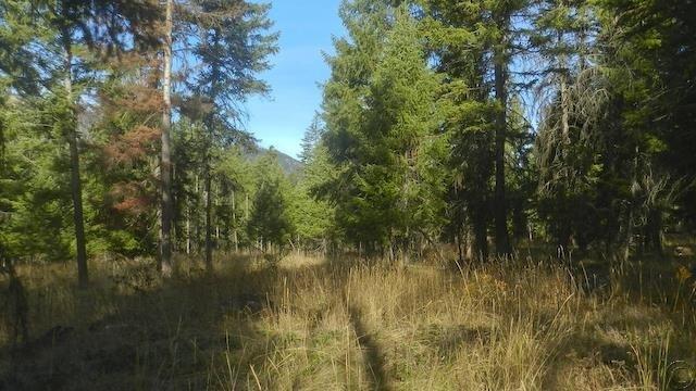 Lot 18 Big Fir Drive, Thompson Falls, MT 59873