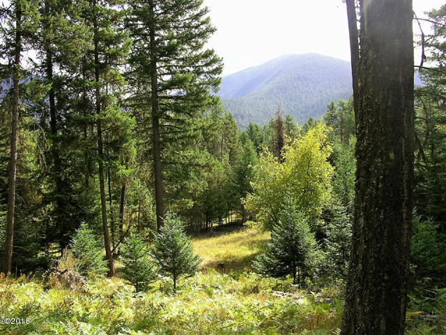 Nhn Graves Creek Loop, Thompson Falls, MT 59873