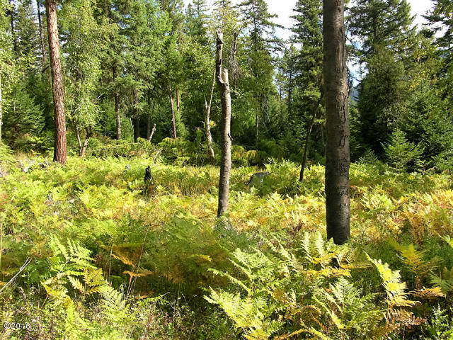 Nhn Graves Creek Loop, Thompson Falls, MT 59873