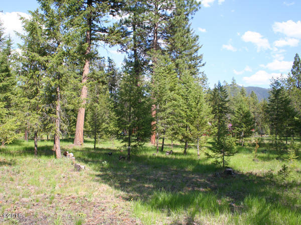 Nhn Libby Lane, Thompson Falls, MT 59873
