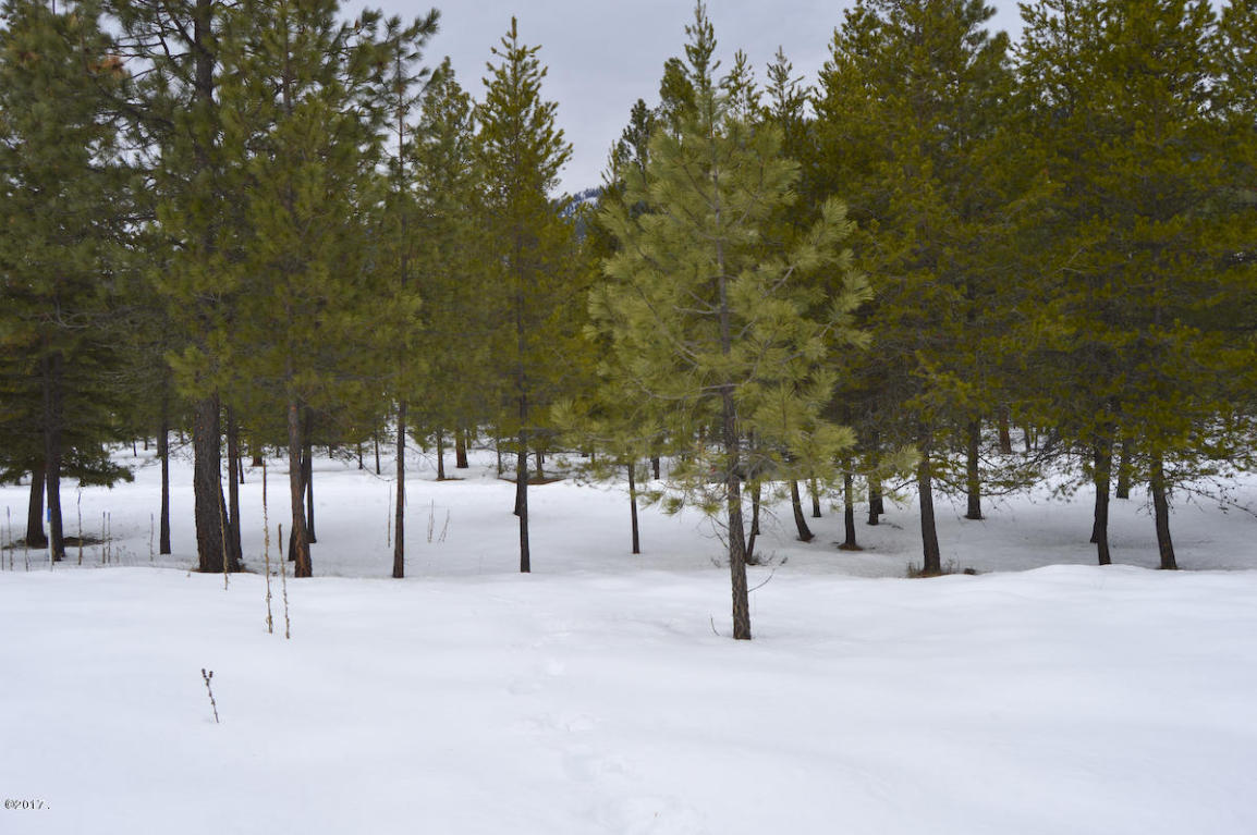 Nhn Mount Silcox Drive, Thompson Falls, MT 59873