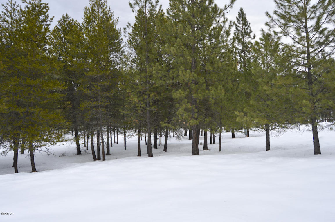 Nhn Mount Silcox Drive, Thompson Falls, MT 59873