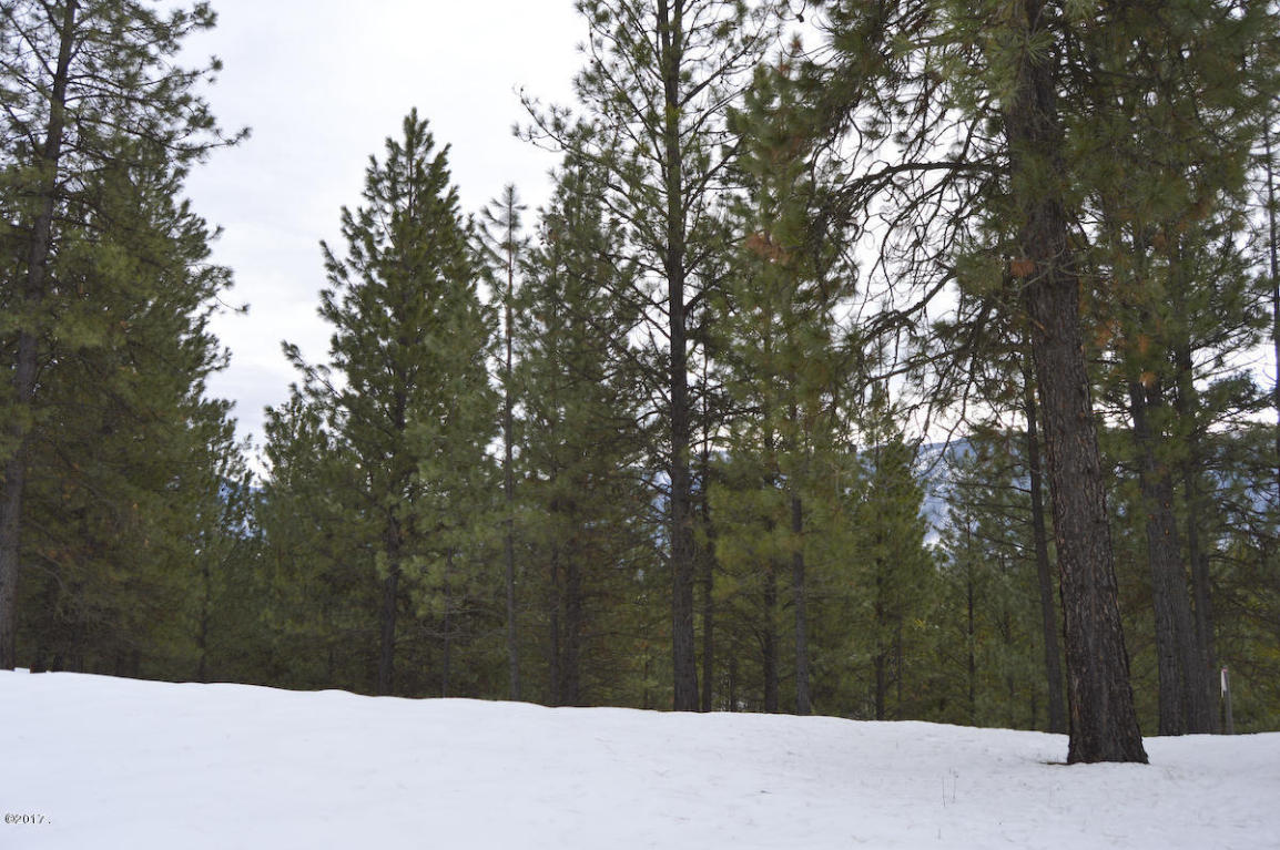 Nhn Mount Silcox Drive, Thompson Falls, MT 59873