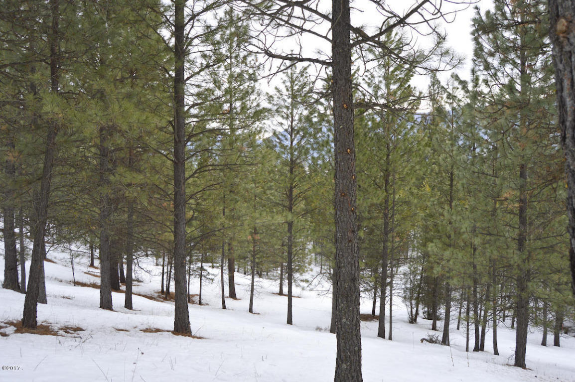 Nhn Mount Silcox Drive, Thompson Falls, MT 59873