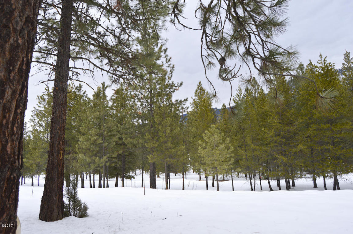 Nhn Mount Silcox Drive, Thompson Falls, MT 59873