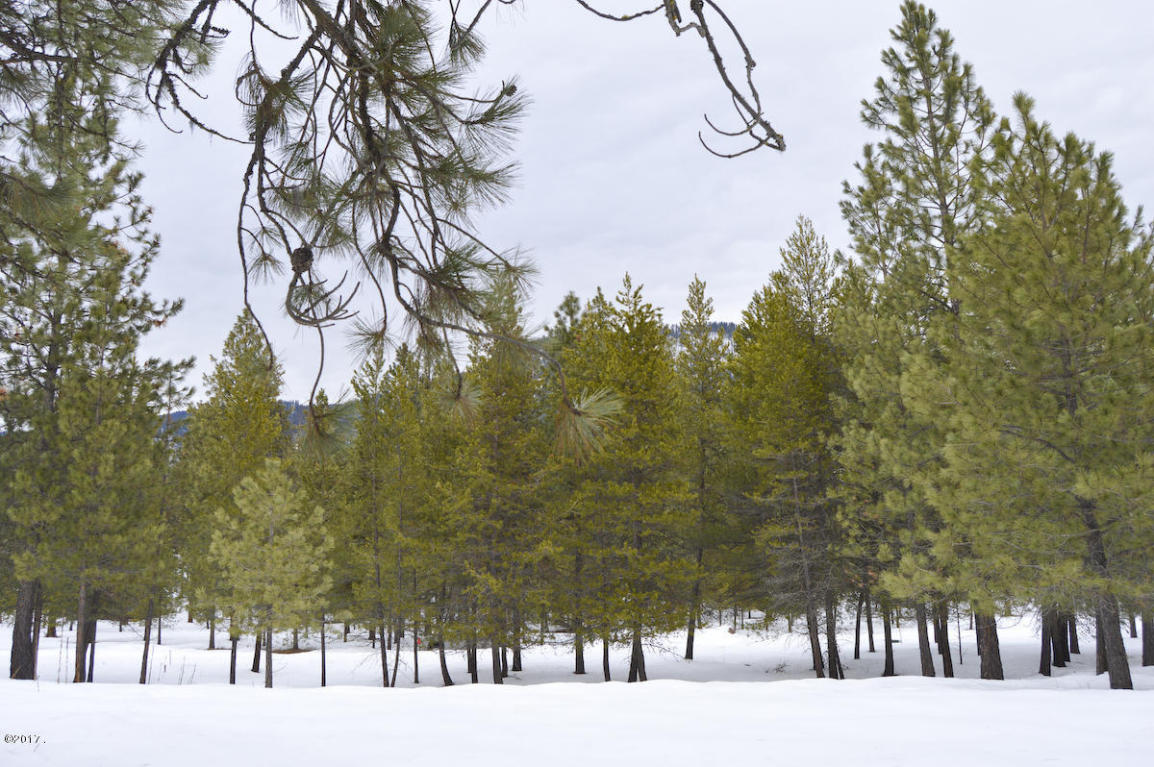 Nhn Mount Silcox Drive, Thompson Falls, MT 59873