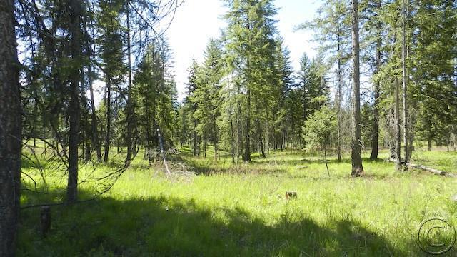 Lot 9 Big Fir Drive, Thompson Falls, MT 59873
