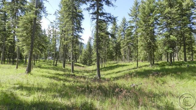 Lot 9 Big Fir Drive, Thompson Falls, MT 59873
