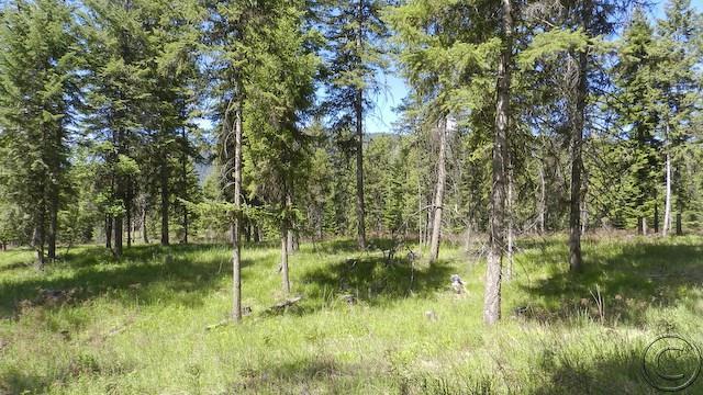 Lot 9 Big Fir Drive, Thompson Falls, MT 59873