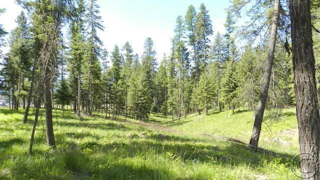 Lot 9 Big Fir Drive, Thompson Falls, MT 59873