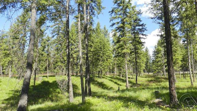 Lot 9 Big Fir Drive, Thompson Falls, MT 59873