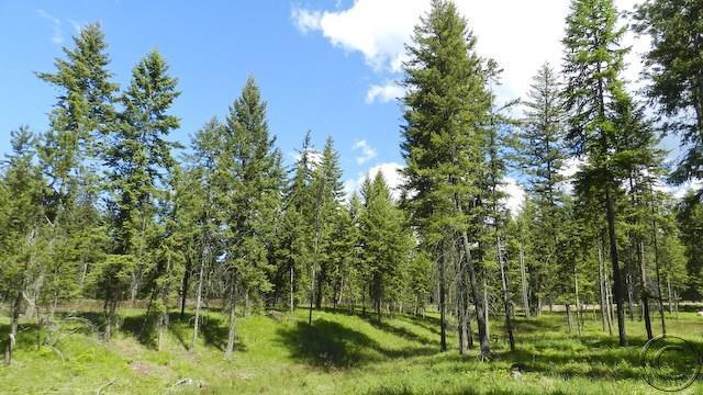 Lot 9 Big Fir Drive, Thompson Falls, MT 59873