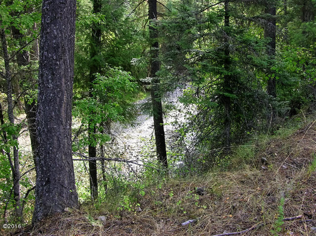 Nhn Craws Nest Loop, Thompson Falls, MT 59873