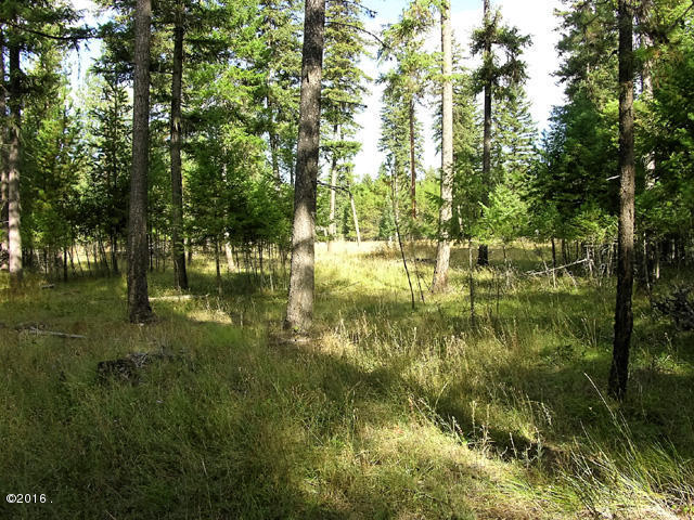 Nhn Craws Nest Loop, Thompson Falls, MT 59873