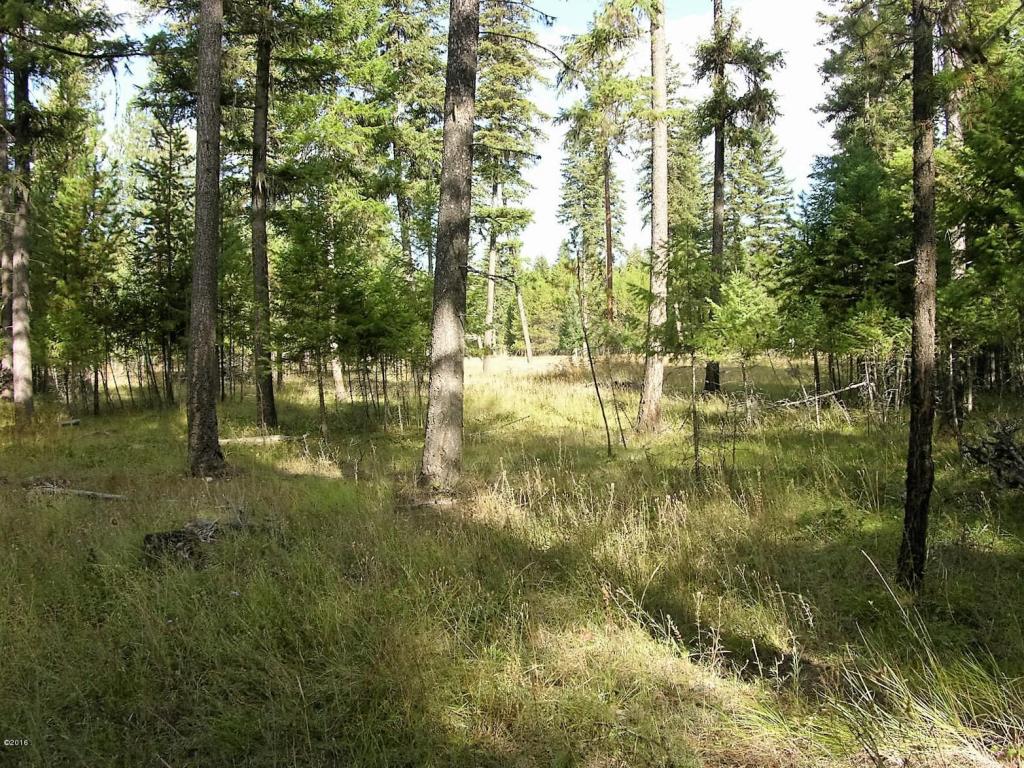 Nhn Craws Nest Loop, Thompson Falls, MT 59873