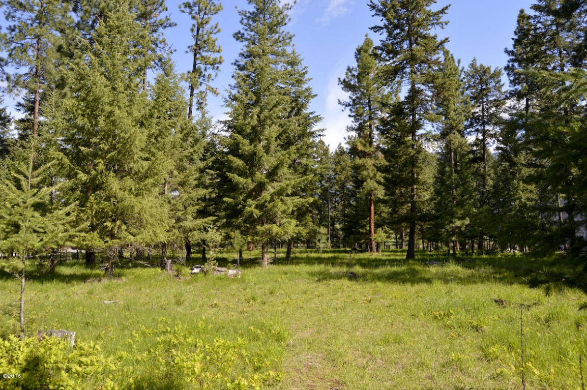 Nhn Bayview Drive, Thompson Falls, MT 59873