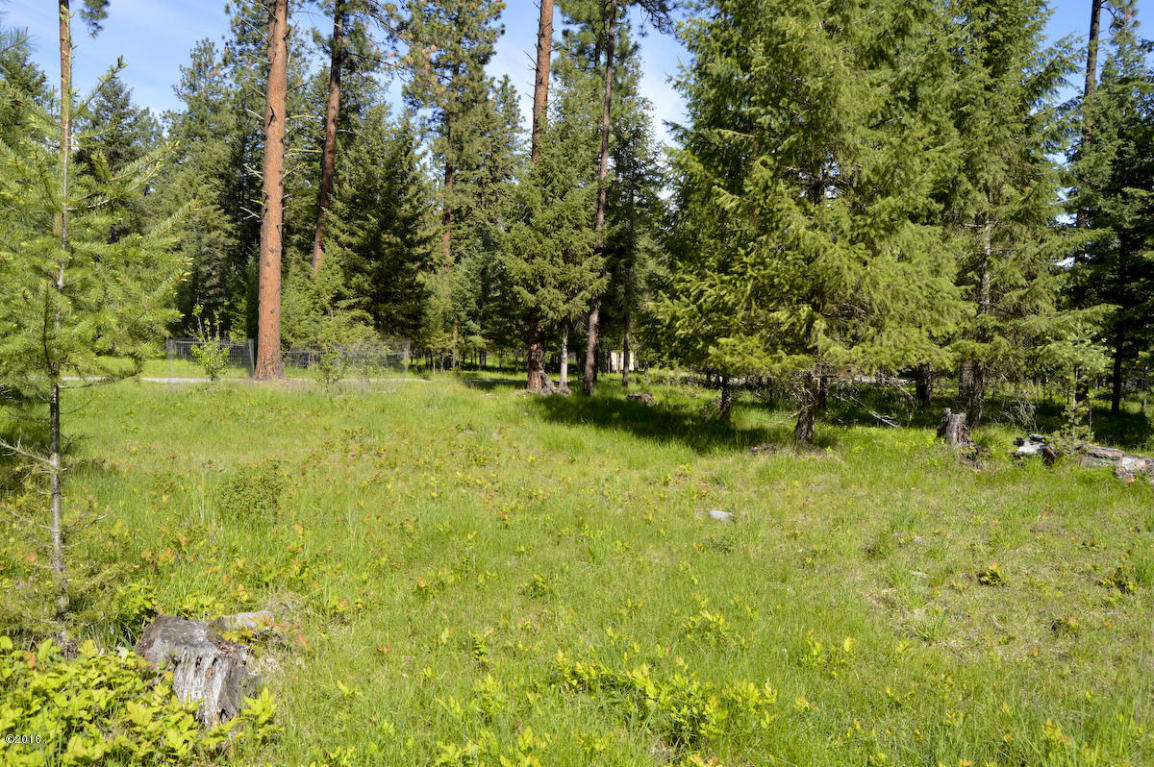 Nhn Bayview Drive, Thompson Falls, MT 59873