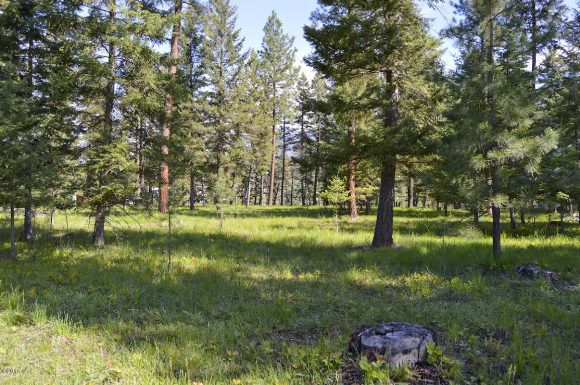 Nhn Bayview Drive, Thompson Falls, MT 59873