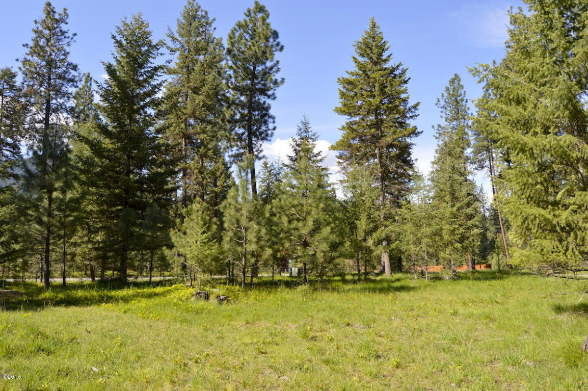 Nhn Bayview Drive, Thompson Falls, MT 59873