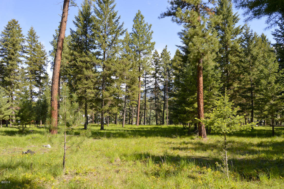 Nhn Bayview Drive, Thompson Falls, MT 59873
