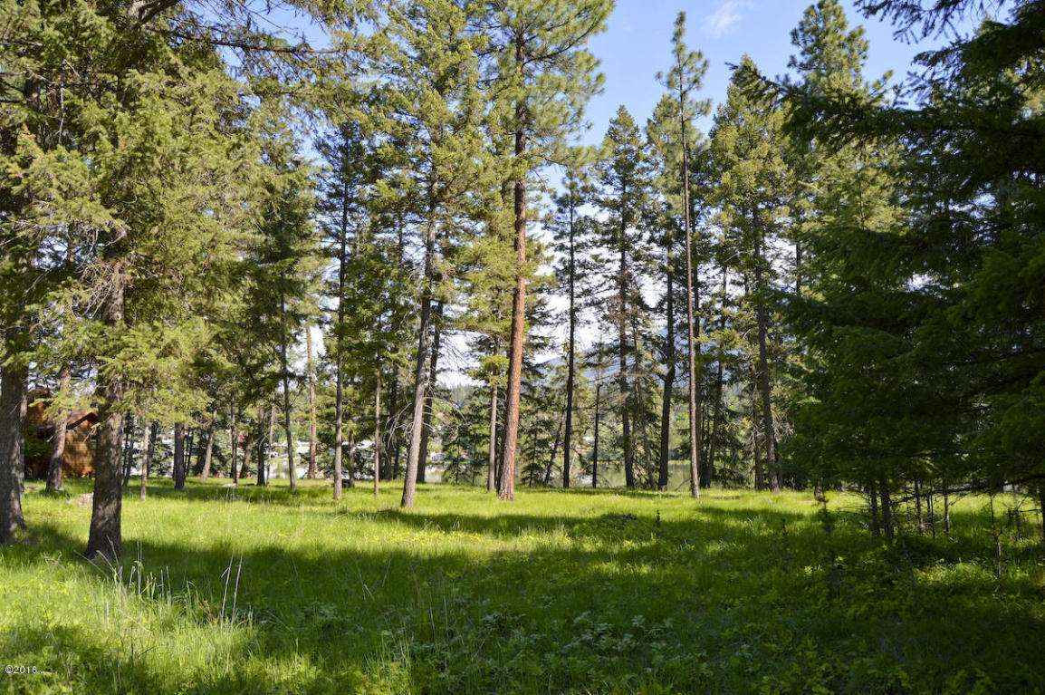 Nhn Bayview Drive, Thompson Falls, MT 59873