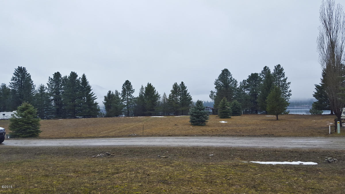 Lot 11 Copper Meadow Sub, Trout Creek, MT 59874