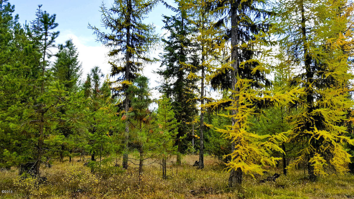 Lot 22 Panorama, Trout Creek, MT 59874