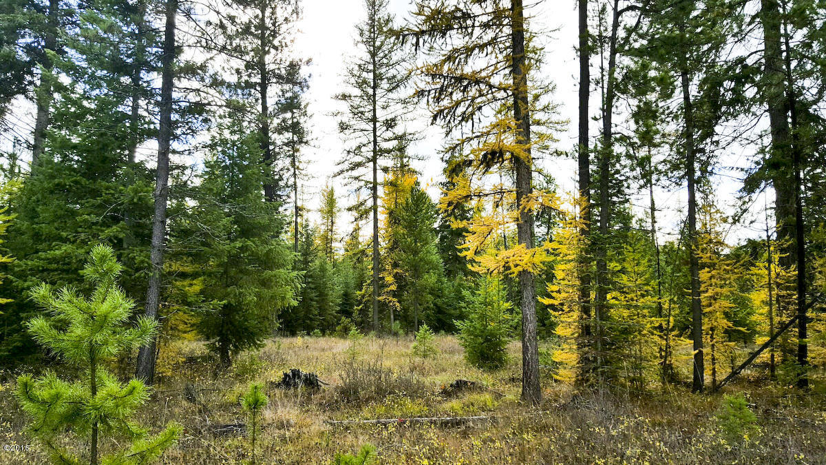 Lot 22 Panorama, Trout Creek, MT 59874