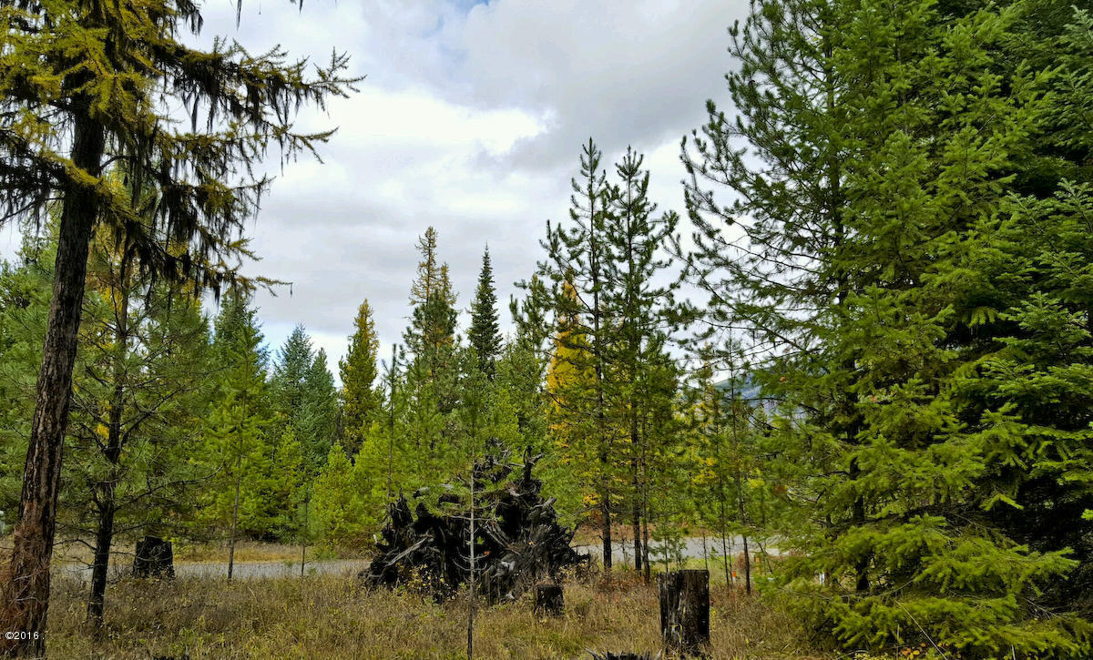 Lot 22 Panorama, Trout Creek, MT 59874