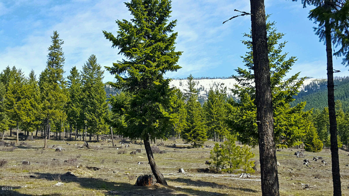 Nhn Genesis Road, Trout Creek, MT 59874