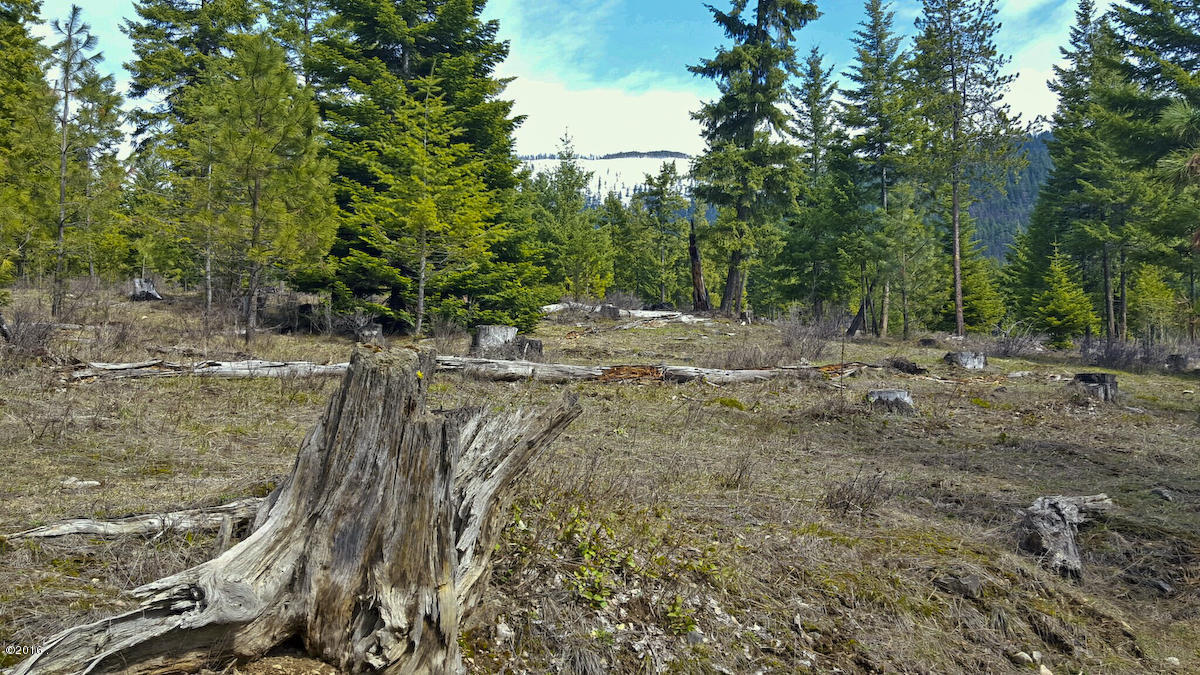Nhn Genesis Road, Trout Creek, MT 59874
