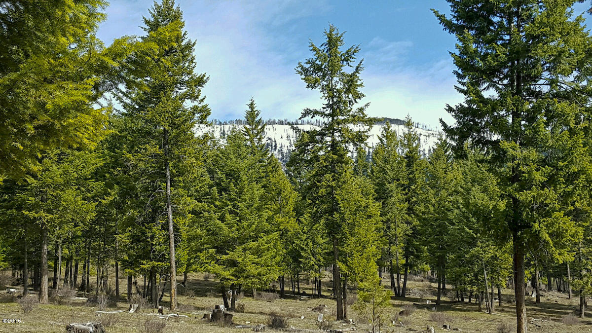 Nhn Genesis Road, Trout Creek, MT 59874