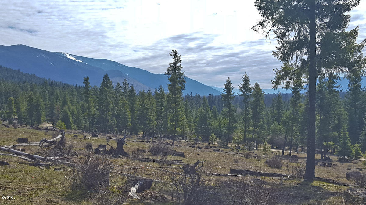 Nhn Genesis Road, Trout Creek, MT 59874