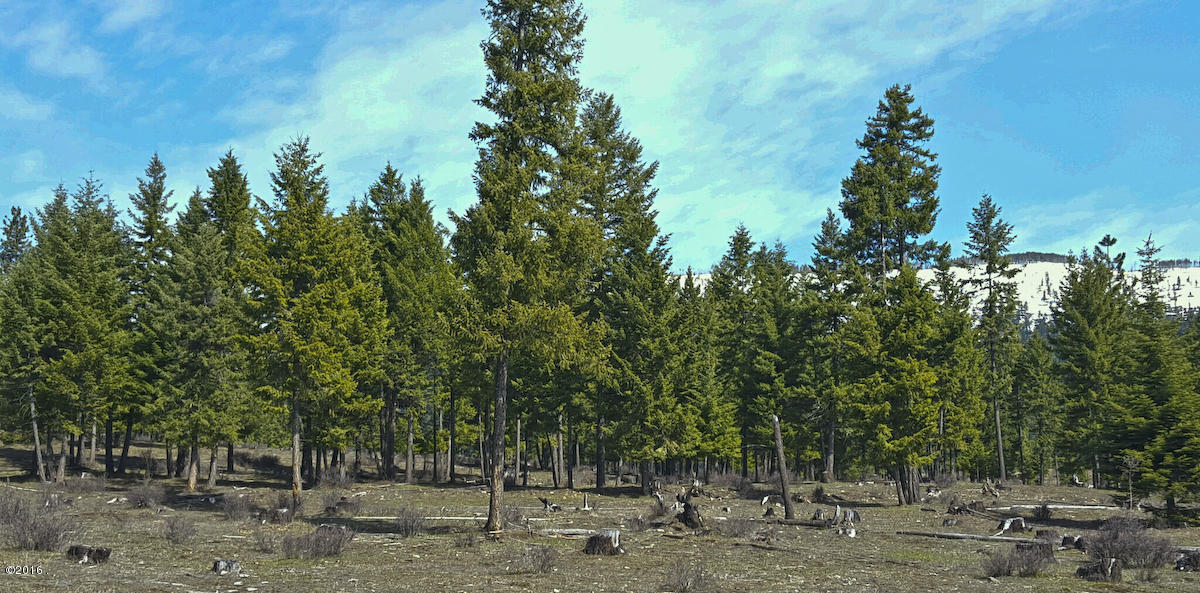 Nhn Genesis Road, Trout Creek, MT 59874