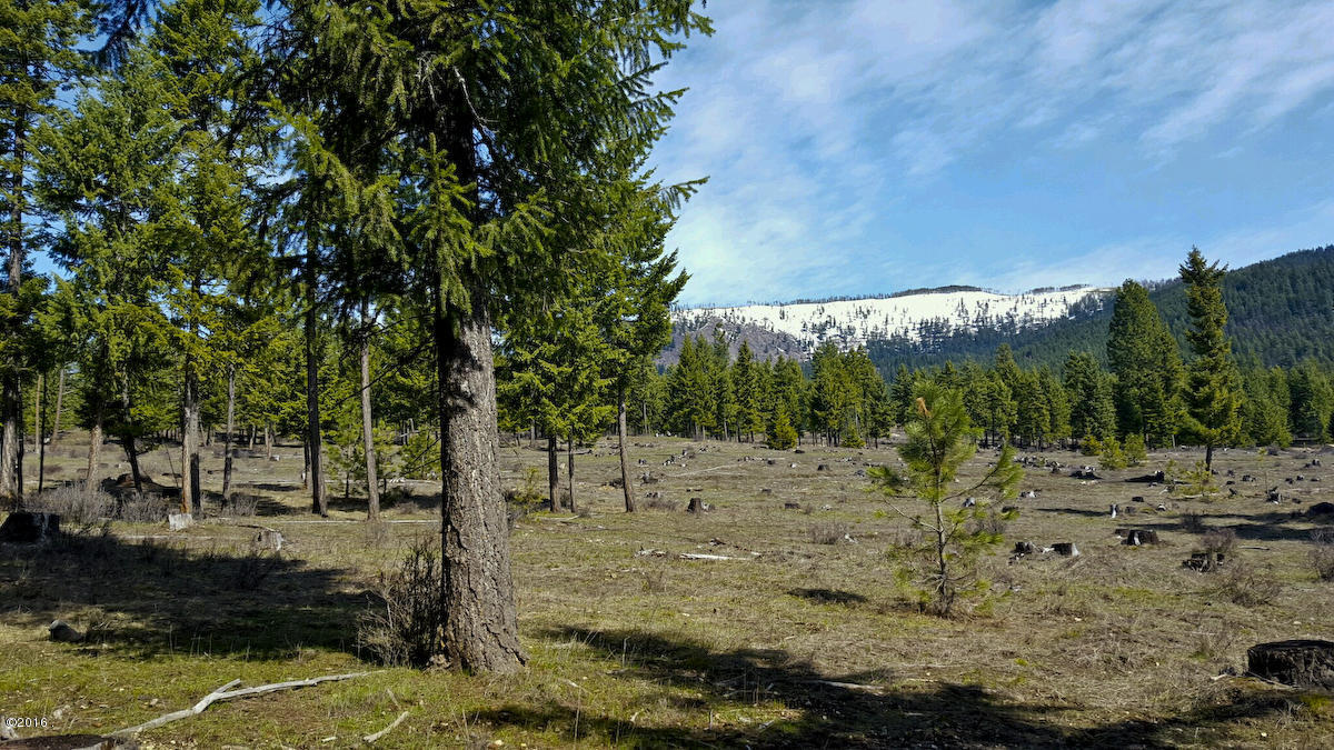 Nhn Genesis Road, Trout Creek, MT 59874