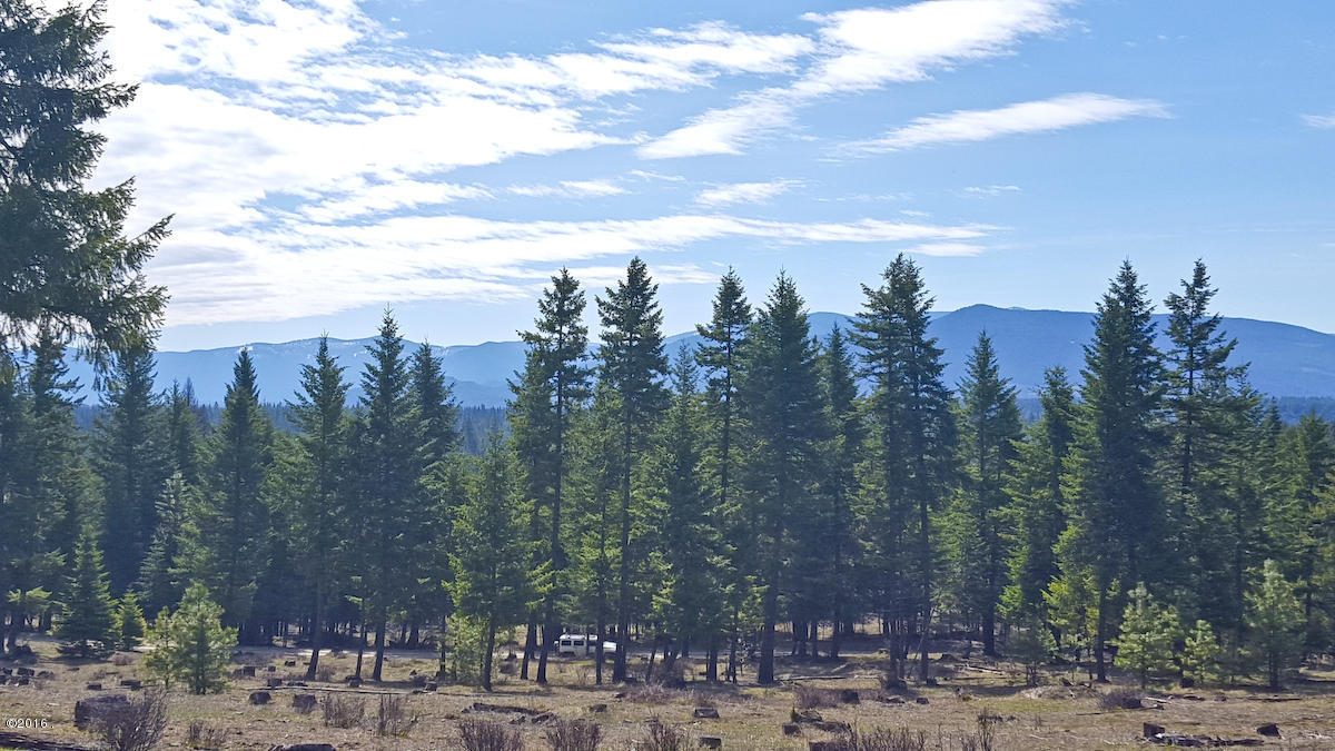 Nhn Genesis Road, Trout Creek, MT 59874