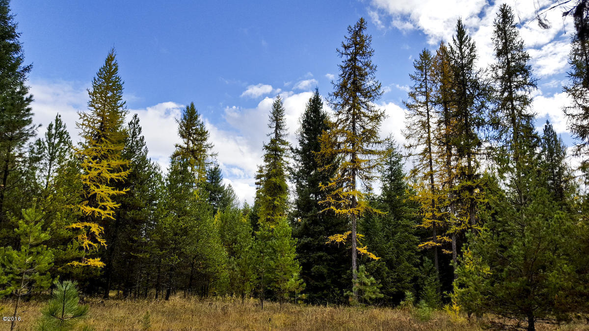 Lot 15 Panorama, Trout Creek, MT 59874