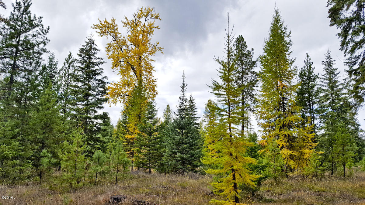 Lot 15 Panorama, Trout Creek, MT 59874