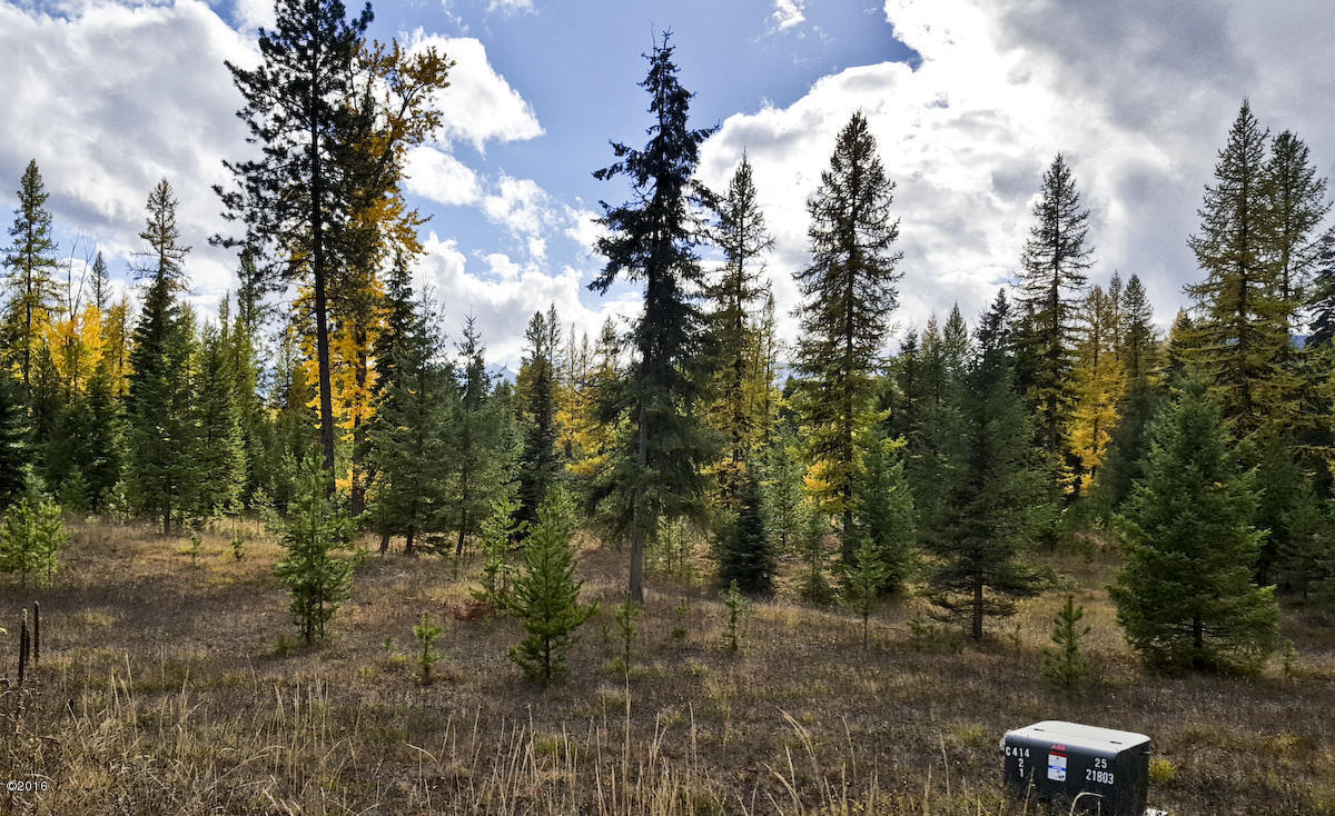 Lot 15 Panorama, Trout Creek, MT 59874