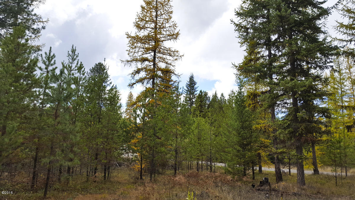 Lot 15 Panorama, Trout Creek, MT 59874