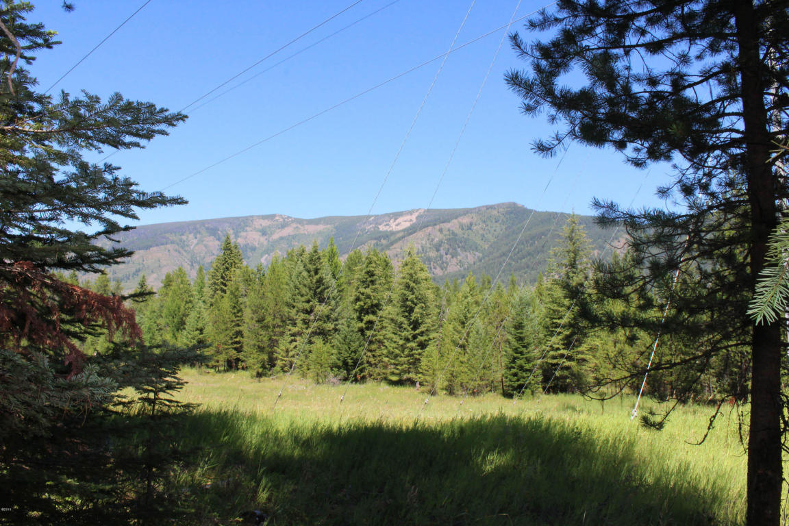 Nhn Marten Creek Road, Trout Creek, MT 59874